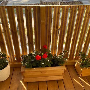 W24 Apartament
